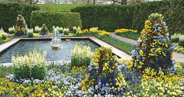 The Wellness Garden