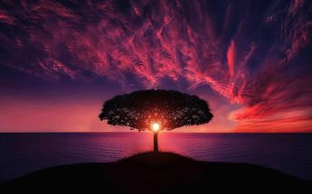 Tips to get the most from your memory