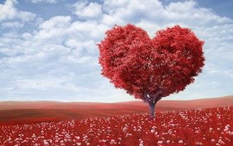 5 ways to de-stress and help your heart