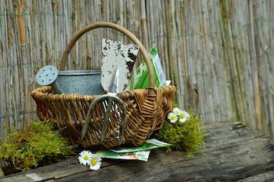 Reducing Anxiety and Depression With Garden and Green Activities