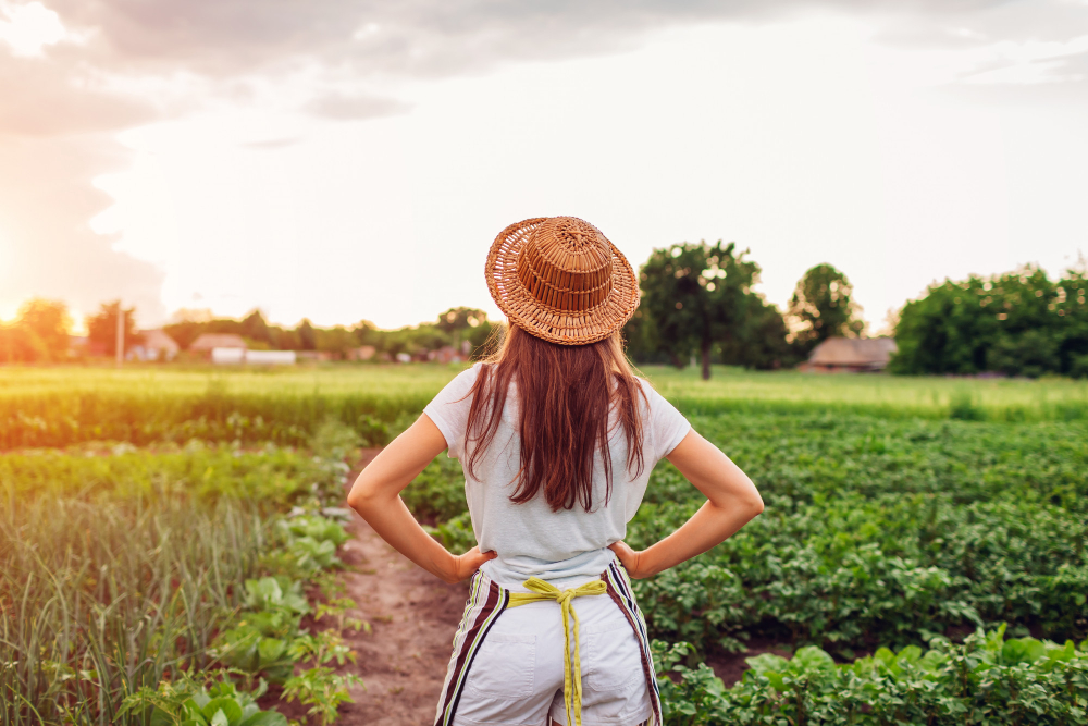 Living Fuel – SuperGreens