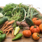 Maximize your health  