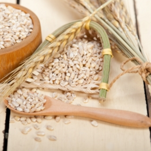 Learn about gluten