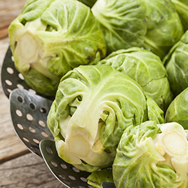 'Bite Into A Healthy Lifestyle'|Wellness magazine