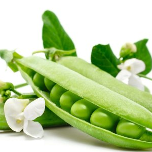 The importance of protein in your diet