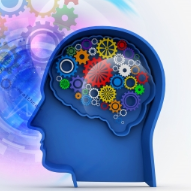 Tips to get the most from your memory | Wellness magazine