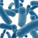  Probiotic your way to ultimate Health